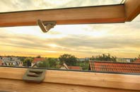 rated Cox Hill roof window companies